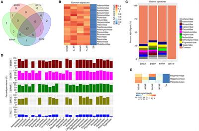 Distinct Microbial Signatures Associated With Different Breast Cancer Types